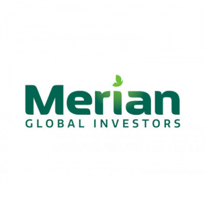 logo merian